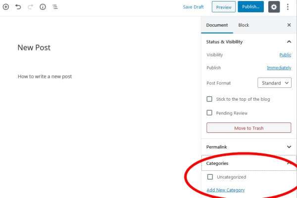 assign a category to your new post